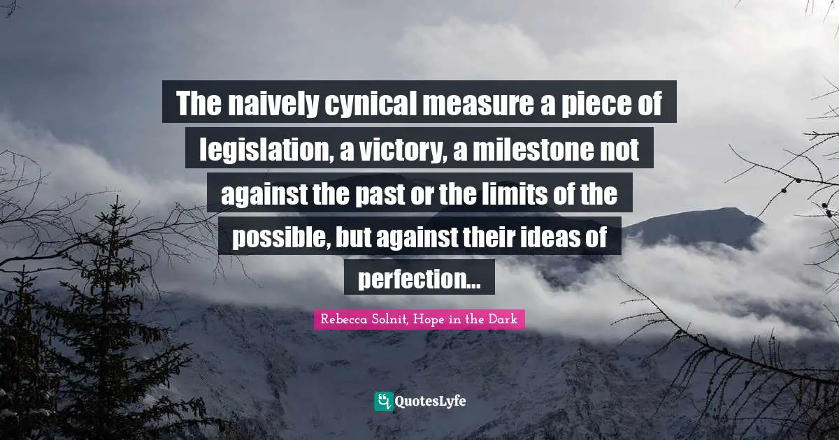 The naively cynical measure a piece of legislation, a victory, a milestone not against the past or the limits of the possible, but against their ideas of perfection...