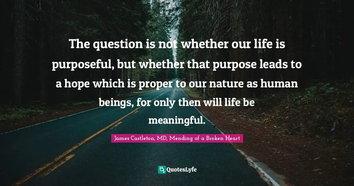 The question is not whether our life is purposeful, but whether that purpose leads to a hope which is proper to our nature as human beings, for only then will life be meaningful.