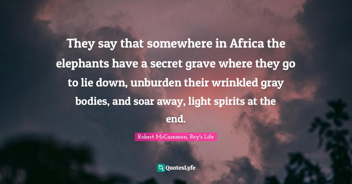 Elephants Quotes: "They say that somewhere in Africa the elephants have a secret grave where they go to lie down, unburden their wrinkled gray bodies, and soar away, light spirits at the end."