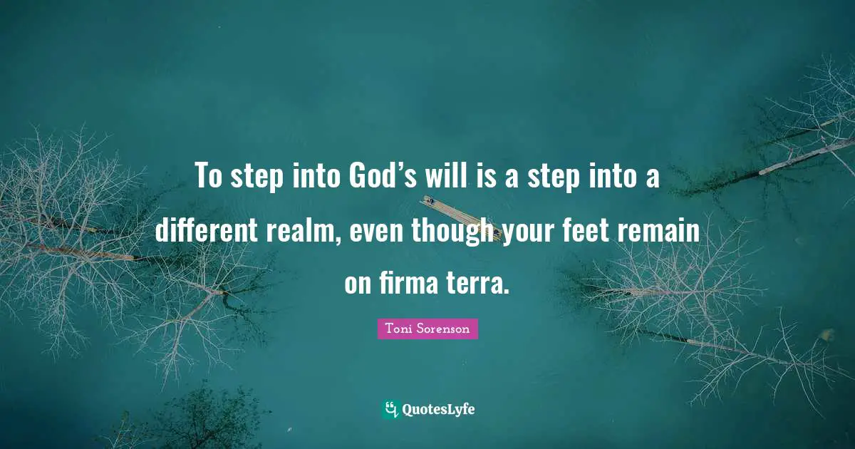 To step into God’s will is a step into a different realm, even though your feet remain on firma terra.