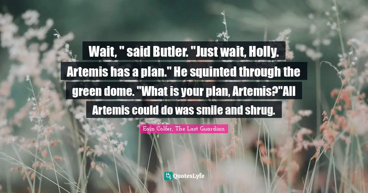 Wait, " said Butler. "Just wait, Holly. Artemis has a plan." He squinted through the green dome. "What is your plan, Artemis?"All Artemis could do was smile and shrug.