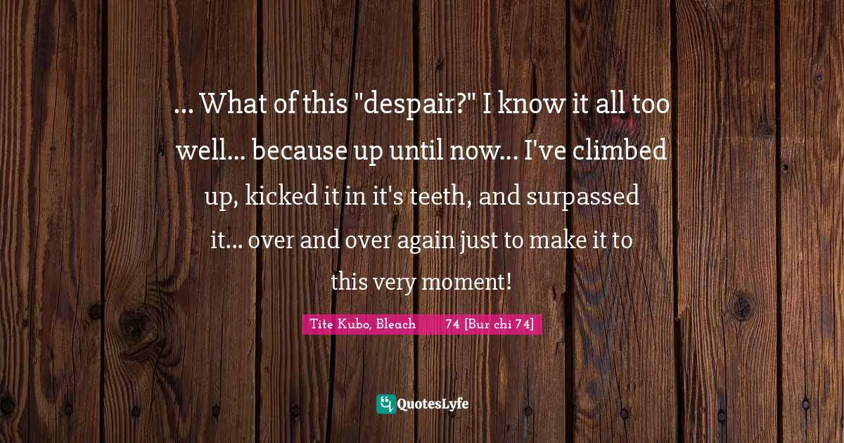 ... What of this "despair?" I know it all too well... because up until now... I've climbed up, kicked it in it's teeth, and surpassed it... over and over again just to make it to this very moment!