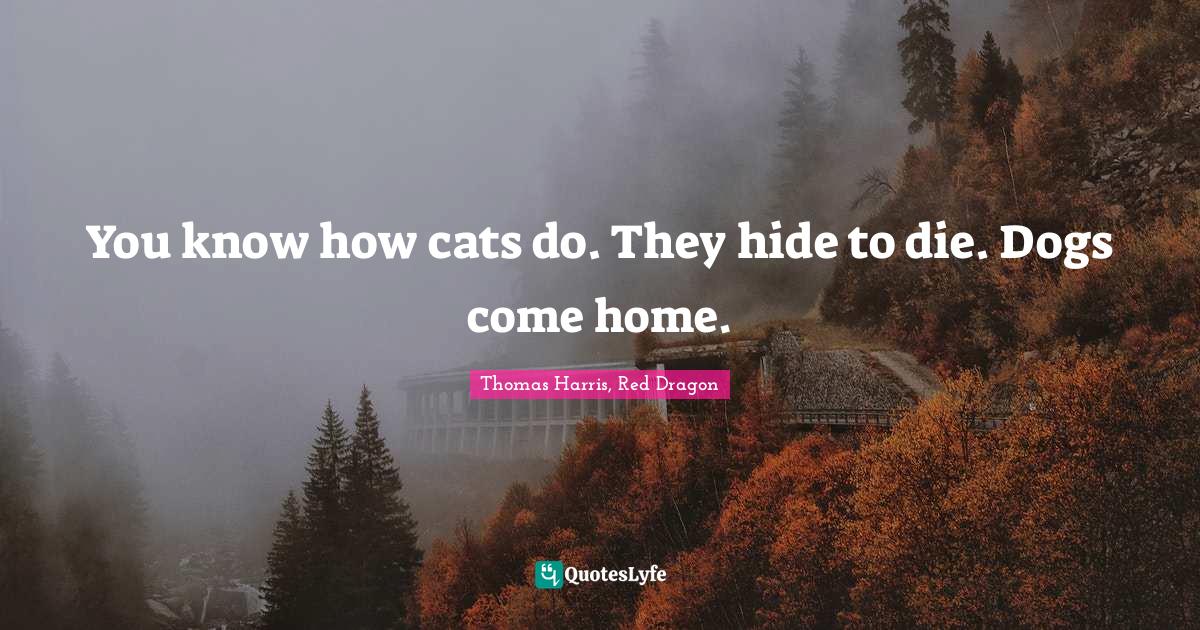 Best Hannibal Quotes with images to share and download for free at