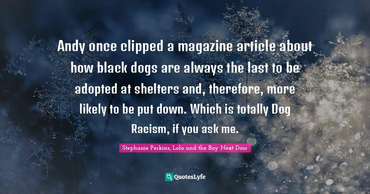 Andy once clipped a magazine article about how black dogs are always the last to be adopted at shelters and, therefore, more likely to be put down. Which is totally Dog Racism, if you ask me.