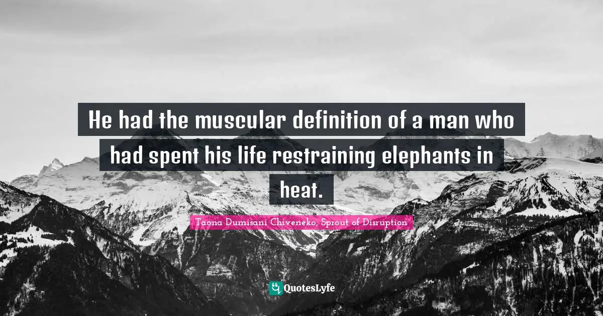 He had the muscular definition of a man who had spent his life restraining elephants in heat.