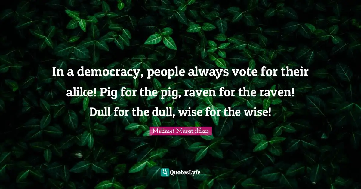 In a democracy, people always vote for their alike! Pig for the pig, raven for the raven! Dull for the dull, wise for the wise!