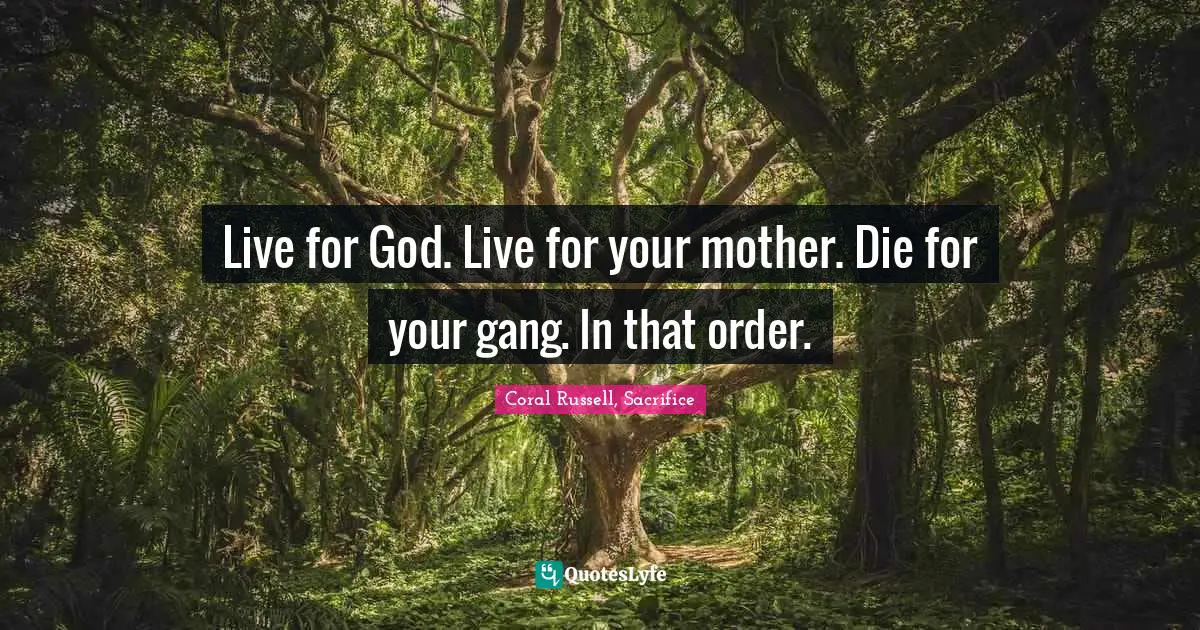 Live for God. Live for your mother. Die for your gang. In that order.