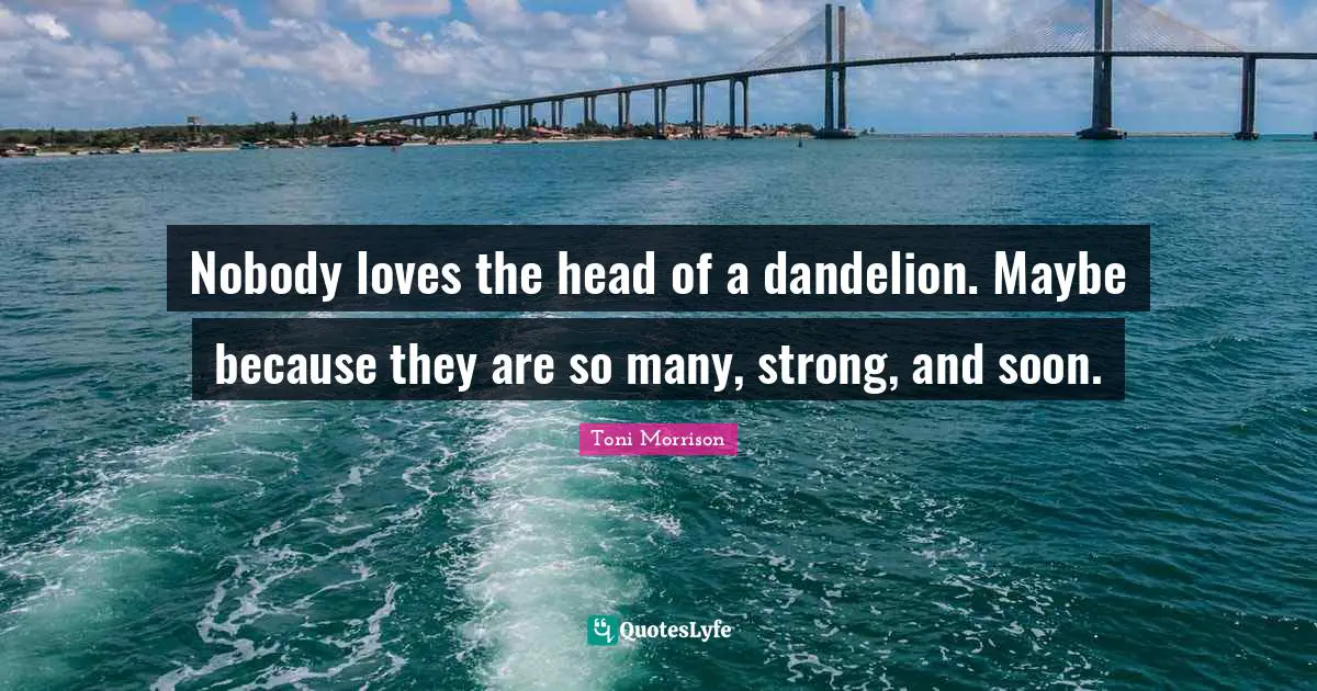 Dandelions Quotes: "Nobody loves the head of a dandelion. Maybe because they are so many, strong, and soon."