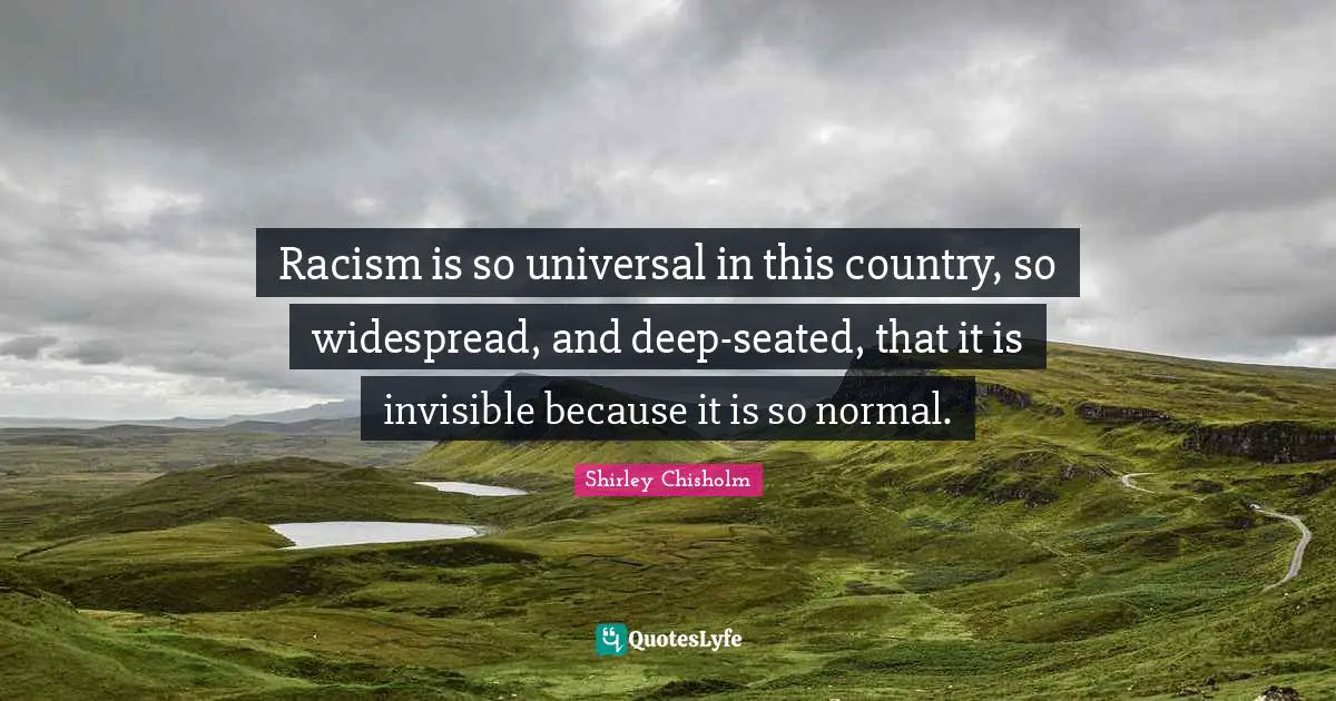 Racism is so universal in this country, so widespread, and deep-seated, that it is invisible because it is so normal.