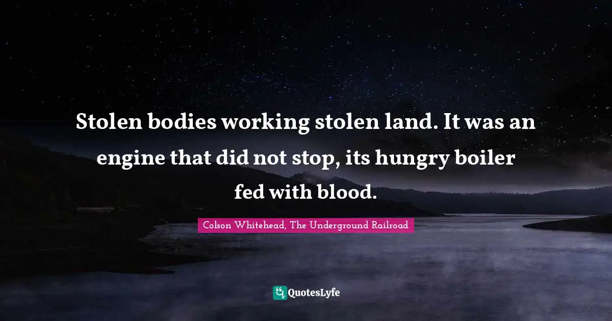 Stolen bodies working stolen land. It was an engine that did not stop, its hungry boiler fed with blood.