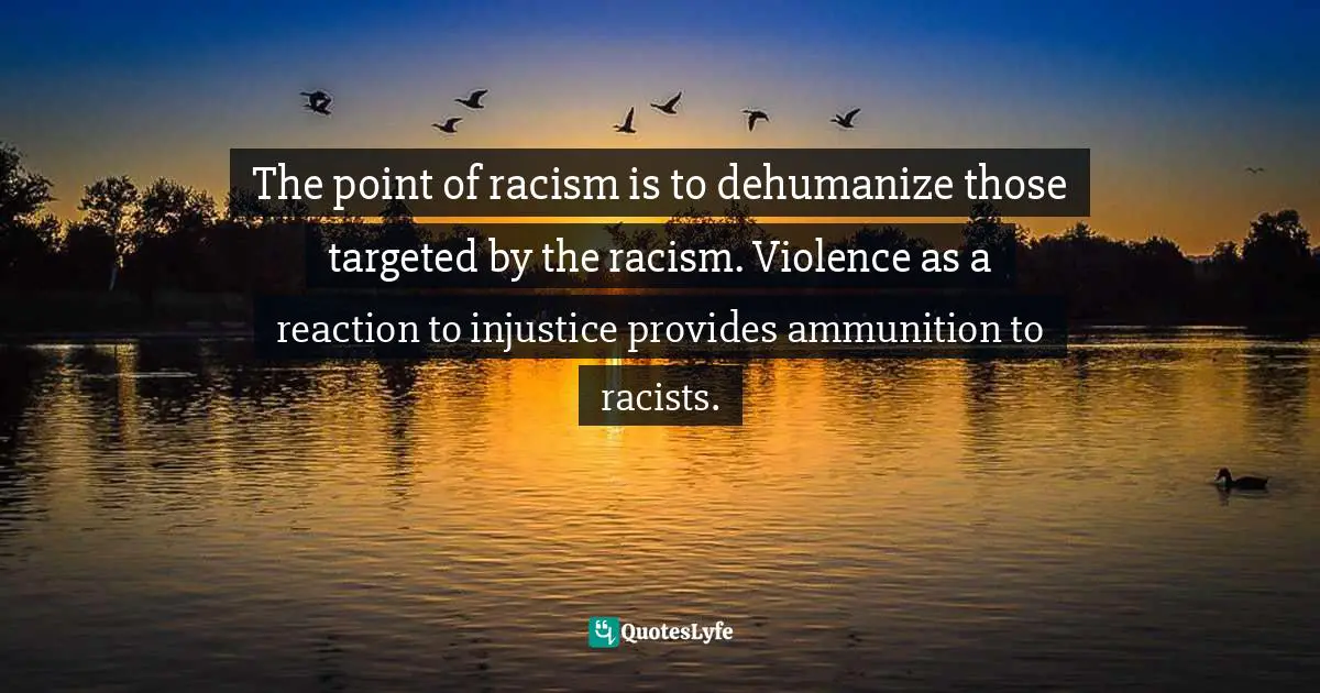 The point of racism is to dehumanize those targeted by the racism. Violence as a reaction to injustice provides ammunition to racists.