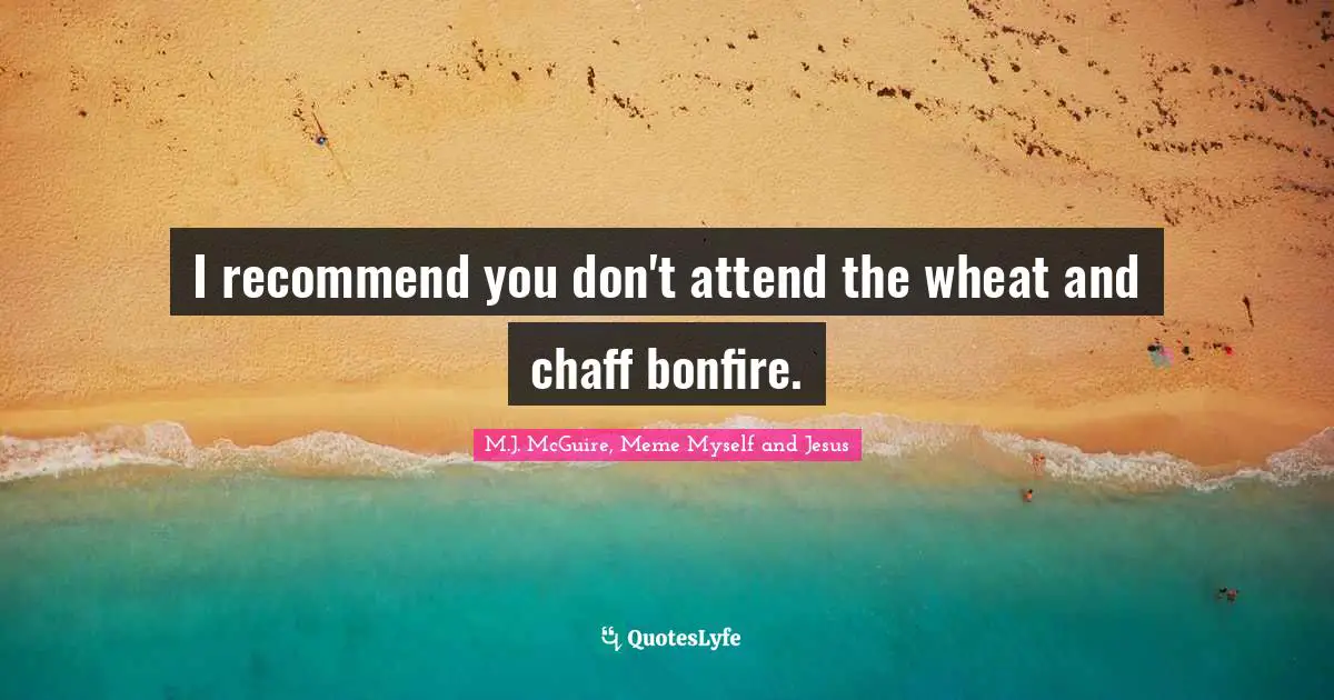 M.J. McGuire, Meme Myself And Jesus Quotes: "I recommend you don't attend the wheat and chaff bonfire."