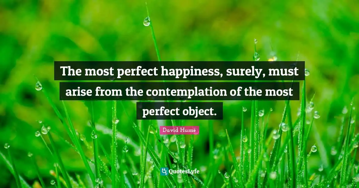 The most perfect happiness, surely, must arise from the contemplation of the most perfect object.