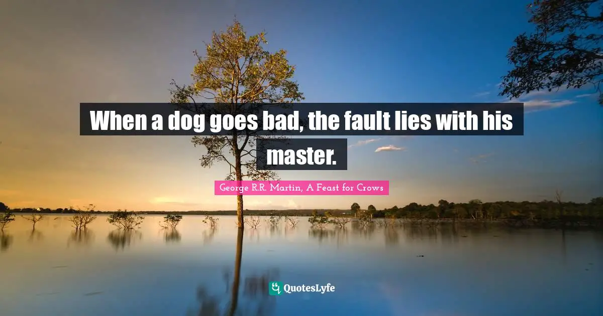 When a dog goes bad, the fault lies with his master.