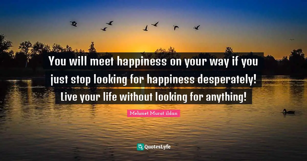 You will meet happiness on your way if you just stop looking for happiness desperately! Live your life without looking for anything!