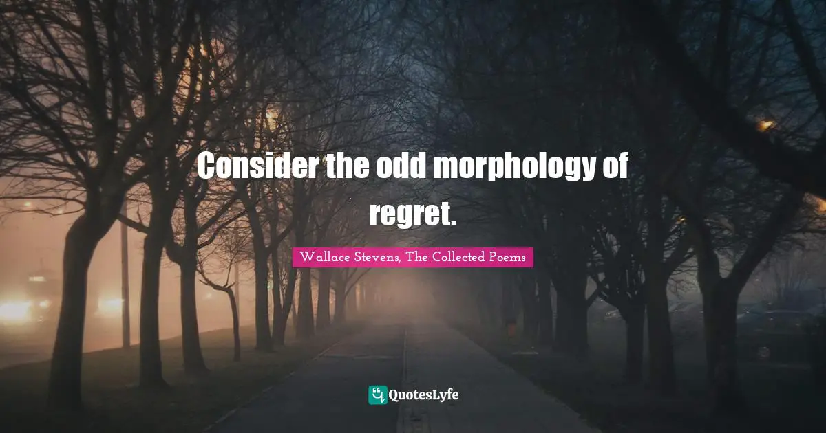 Wallace Stevens, The Collected Poems Quotes: "Consider the odd morphology of regret."