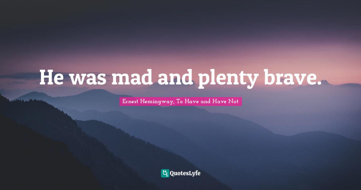 Ernest Hemingway, To Have And Have Not Quotes: "He was mad and plenty brave."