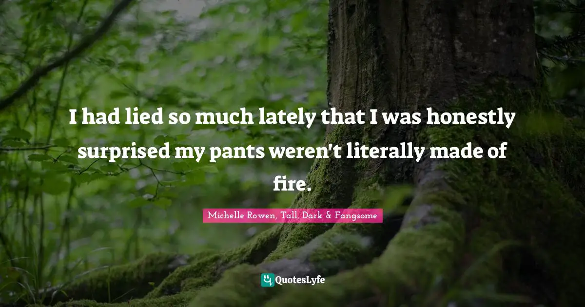 I had lied so much lately that I was honestly surprised my pants weren't literally made of fire.