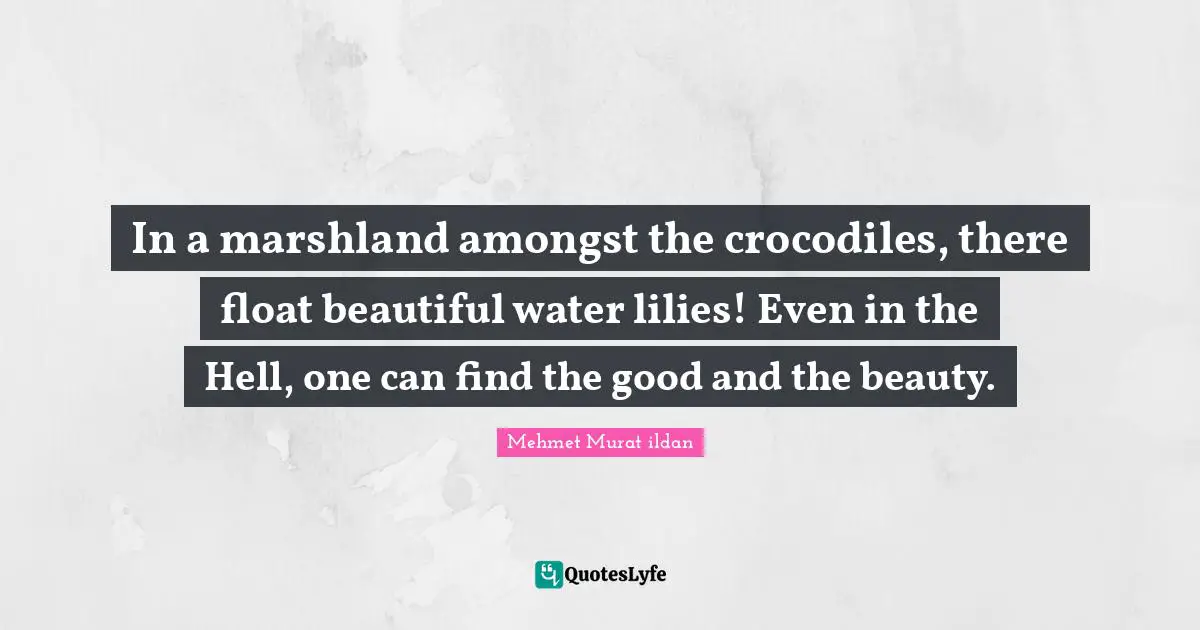 In a marshland amongst the crocodiles, there float beautiful water lilies! Even in the Hell, one can find the good and the beauty.