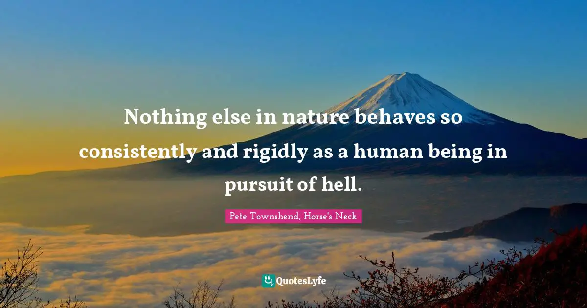 Pete Townshend Quotes: "Nothing else in nature behaves so consistently and rigidly as a human being in pursuit of hell."
