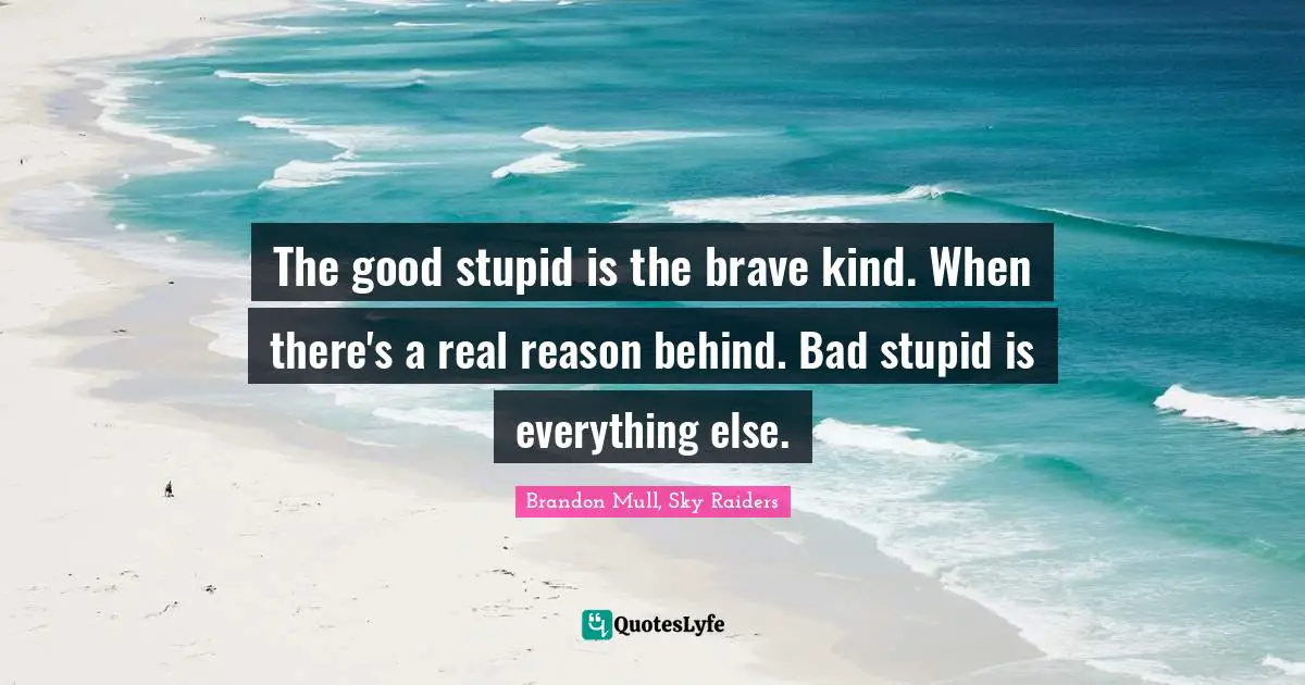 The good stupid is the brave kind. When there's a real reason behind. Bad stupid is everything else.
