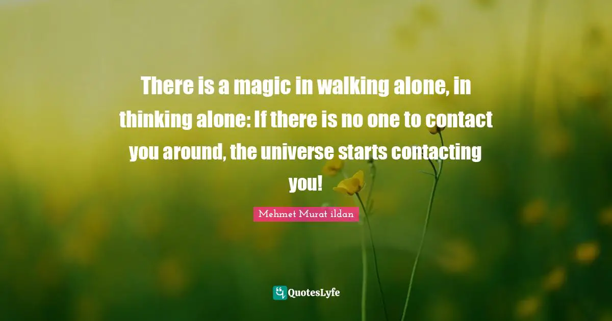 There is a magic in walking alone, in thinking alone: If there is no one to contact you around, the universe starts contacting you!