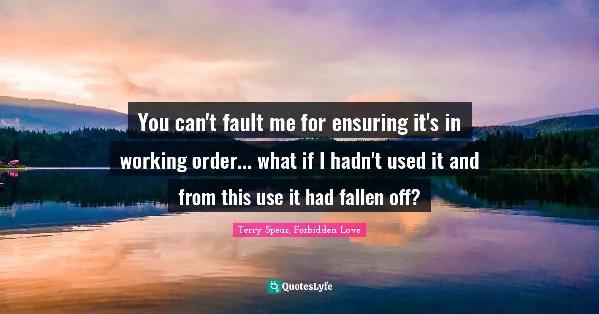 You can't fault me for ensuring it's in working order... what if I hadn't used it and from this use it had fallen off?