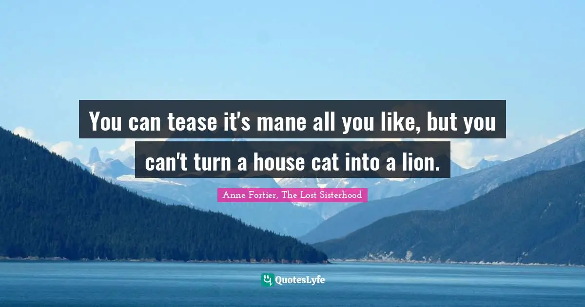 You can tease it's mane all you like, but you can't turn a house cat into a lion.