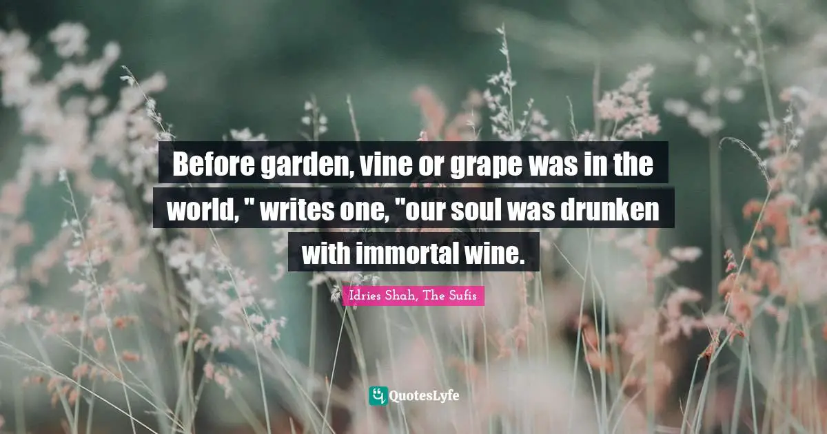 Before garden, vine or grape was in the world, " writes one, "our soul was drunken with immortal wine.