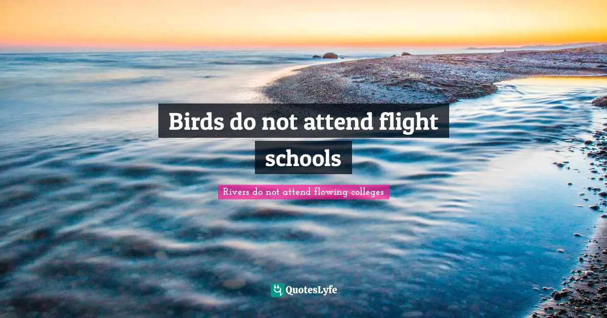 Attend Quotes: "Birds do not attend flight schools"