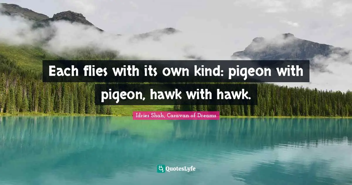 Each flies with its own kind: pigeon with pigeon, hawk with hawk.