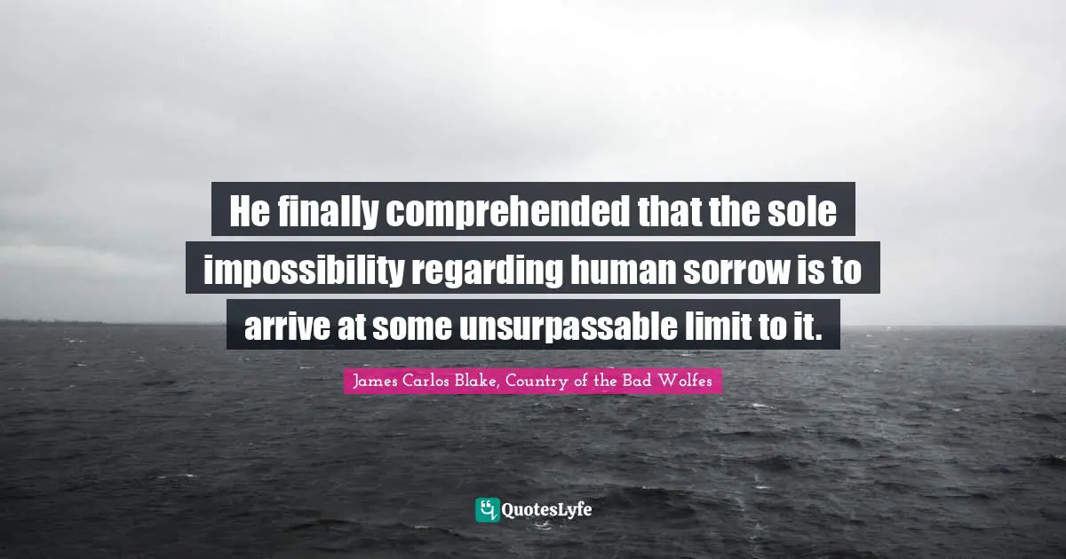 He finally comprehended that the sole impossibility regarding human sorrow is to arrive at some unsurpassable limit to it.