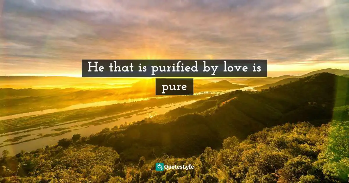 He that is purified by love is pure