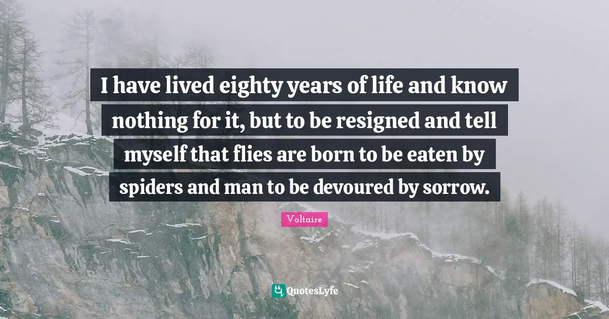 I have lived eighty years of life and know nothing for it, but to be resigned and tell myself that flies are born to be eaten by spiders and man to be devoured by sorrow.