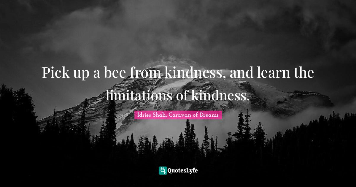 Pick up a bee from kindness, and learn the limitations of kindness.