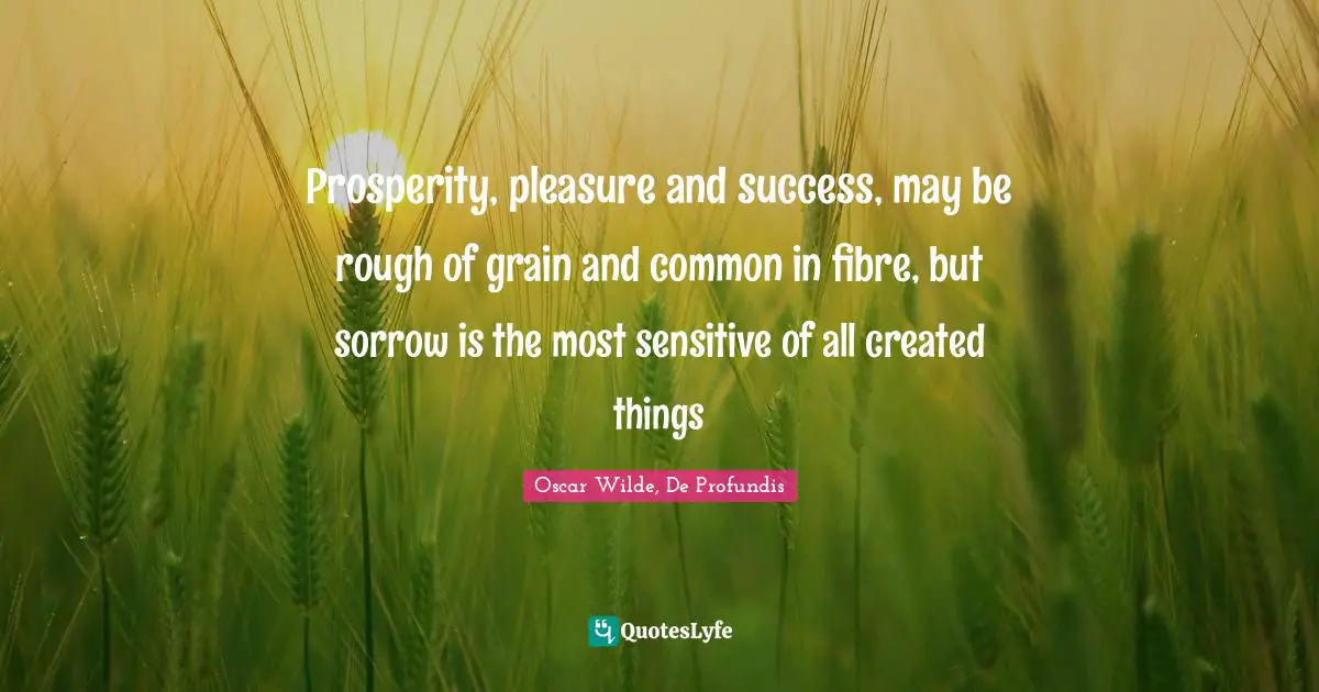 Prosperity, pleasure and success, may be rough of grain and common in fibre, but sorrow is the most sensitive of all created things