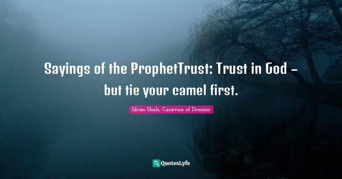 Sayings of the ProphetTrust: Trust in God – but tie your camel first.