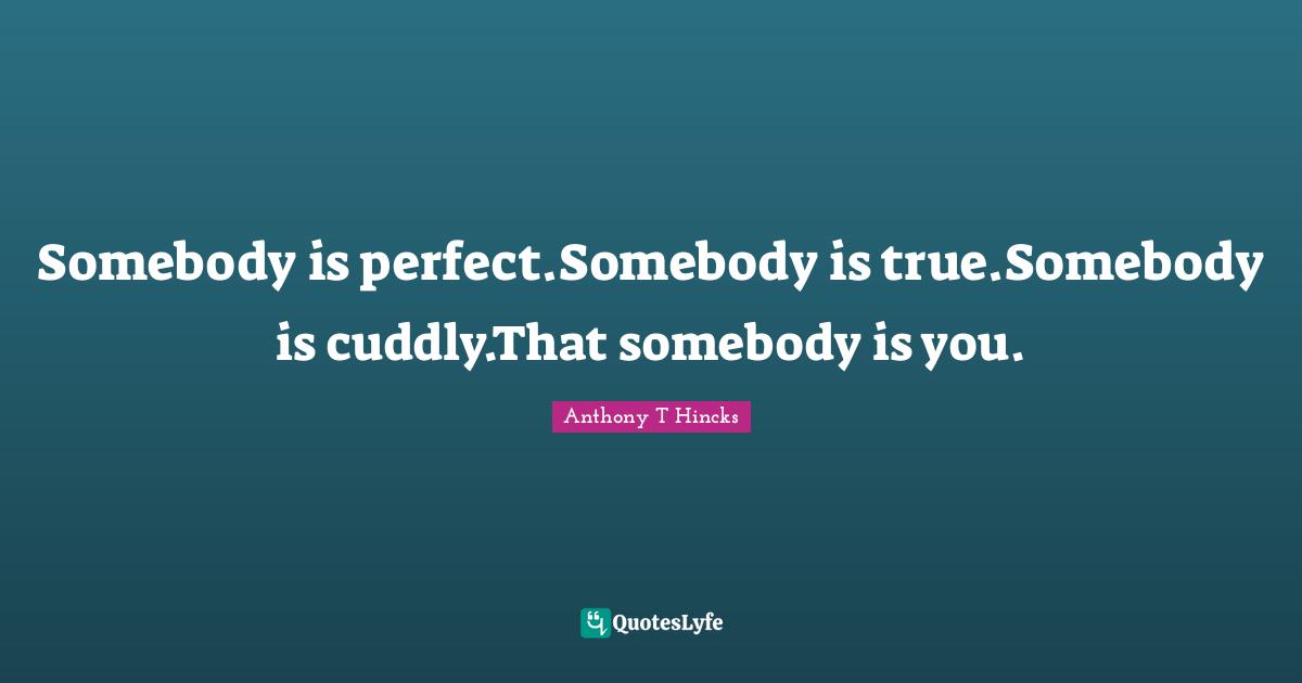 Cuddly Quotes: "Somebody is perfect.Somebody is true.Somebody is cuddly.That somebody is you."