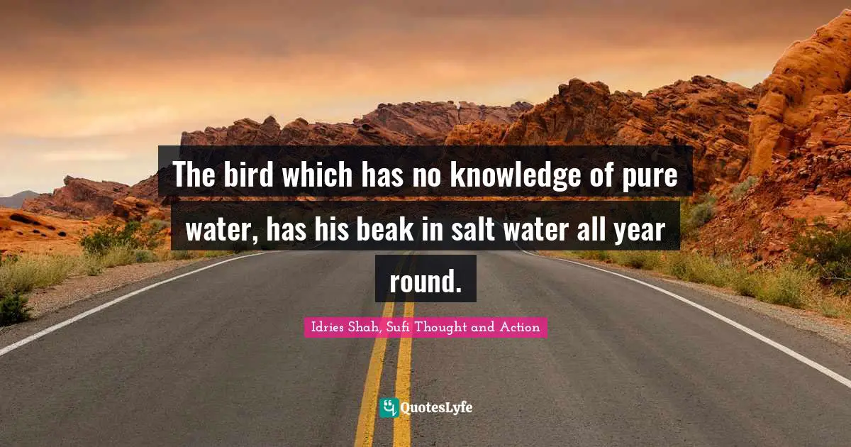 The bird which has no knowledge of pure water, has his beak in salt water all year round.