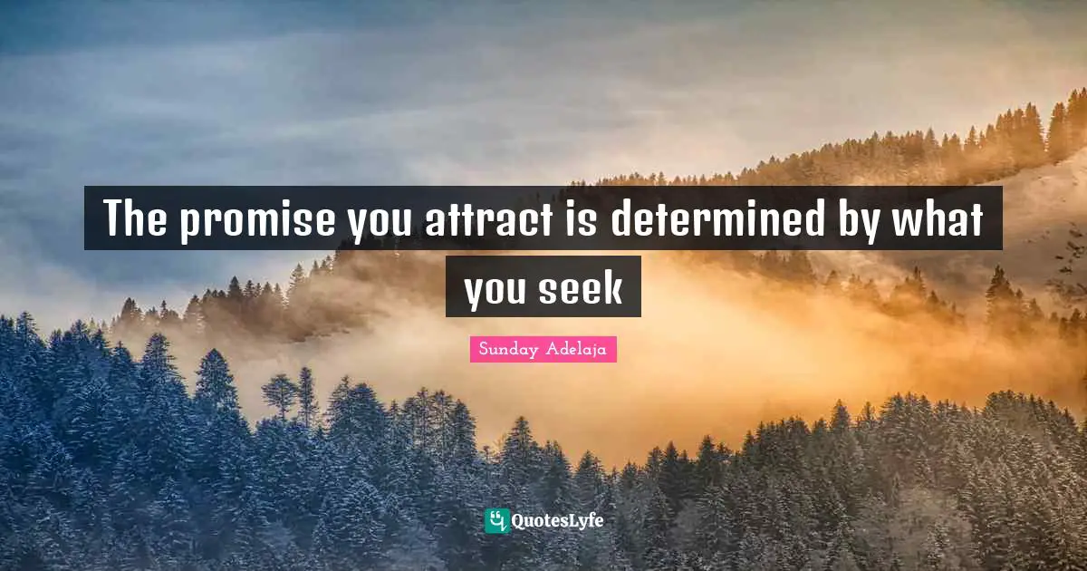 How To Attract Quotes: "The promise you attract is determined by what you seek"