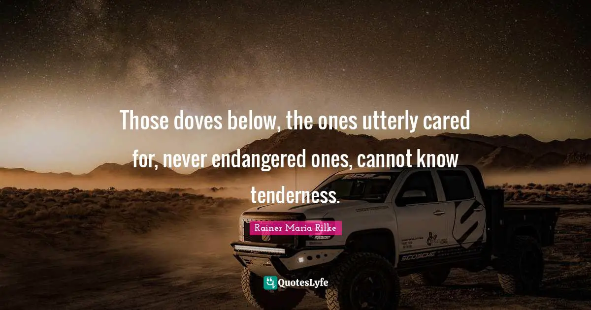 Rainer Maria Rilke Quotes: Those doves below, the ones utterly cared for, never endangered ones, cannot know tenderness.