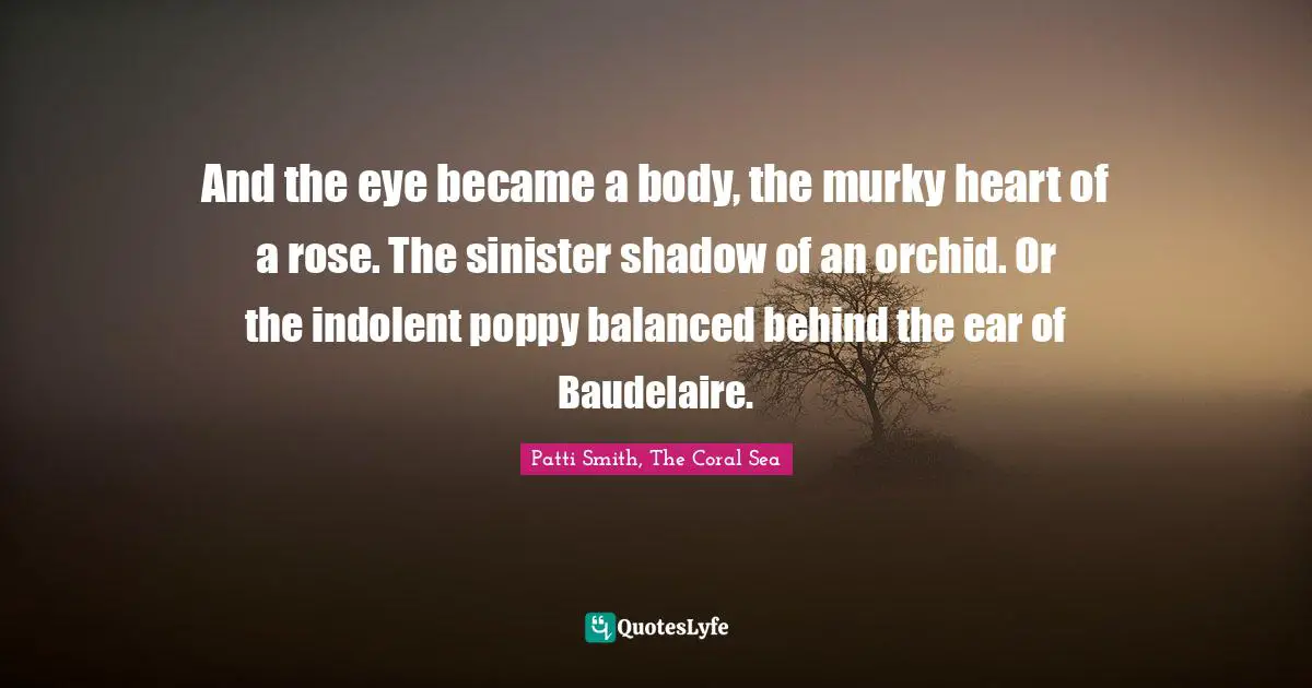 And the eye became a body, the murky heart of a rose. The sinister shadow of an orchid. Or the indolent poppy balanced behind the ear of Baudelaire.