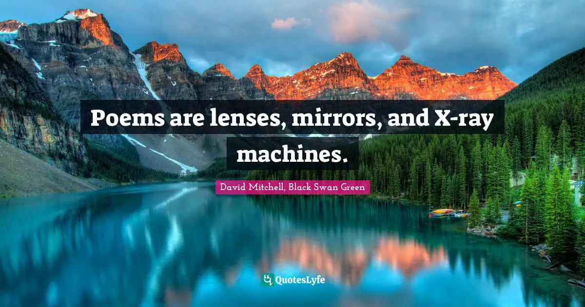 Poems are lenses, mirrors, and X-ray machines.