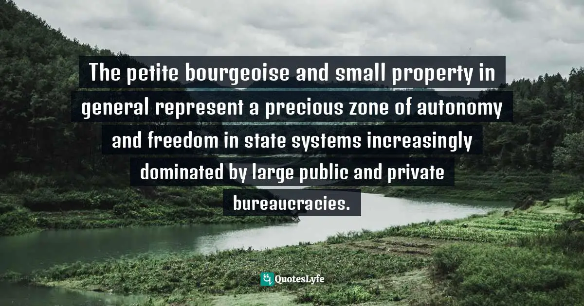The petite bourgeoise and small property in general represent a precious zone of autonomy and freedom in state systems increasingly dominated by large public and private bureaucracies.