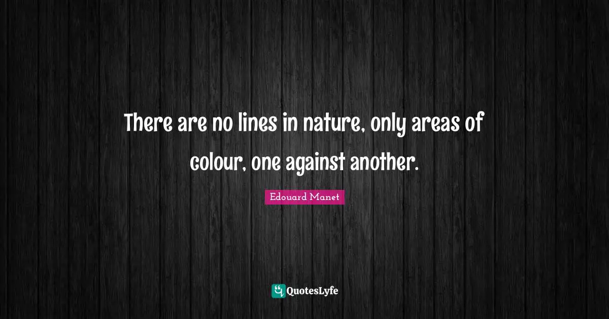 There are no lines in nature, only areas of colour, one against another.