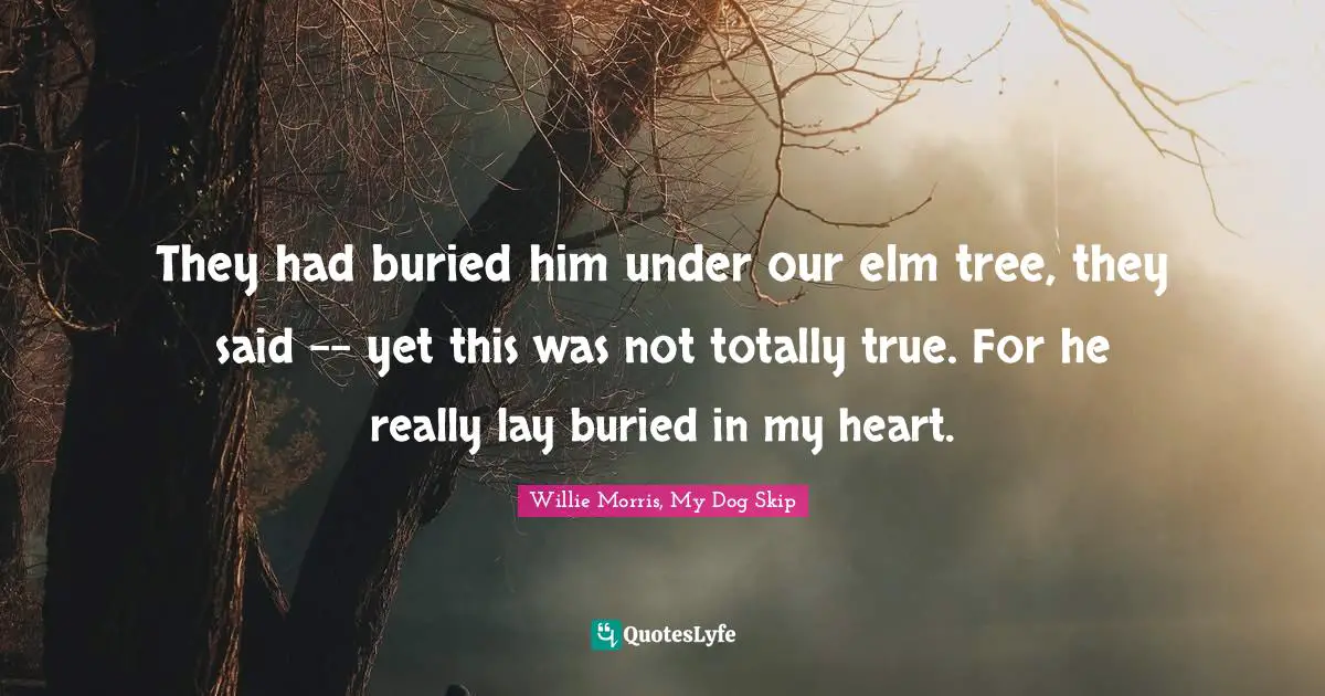 They had buried him under our elm tree, they said -- yet this was not totally true. For he really lay buried in my heart.