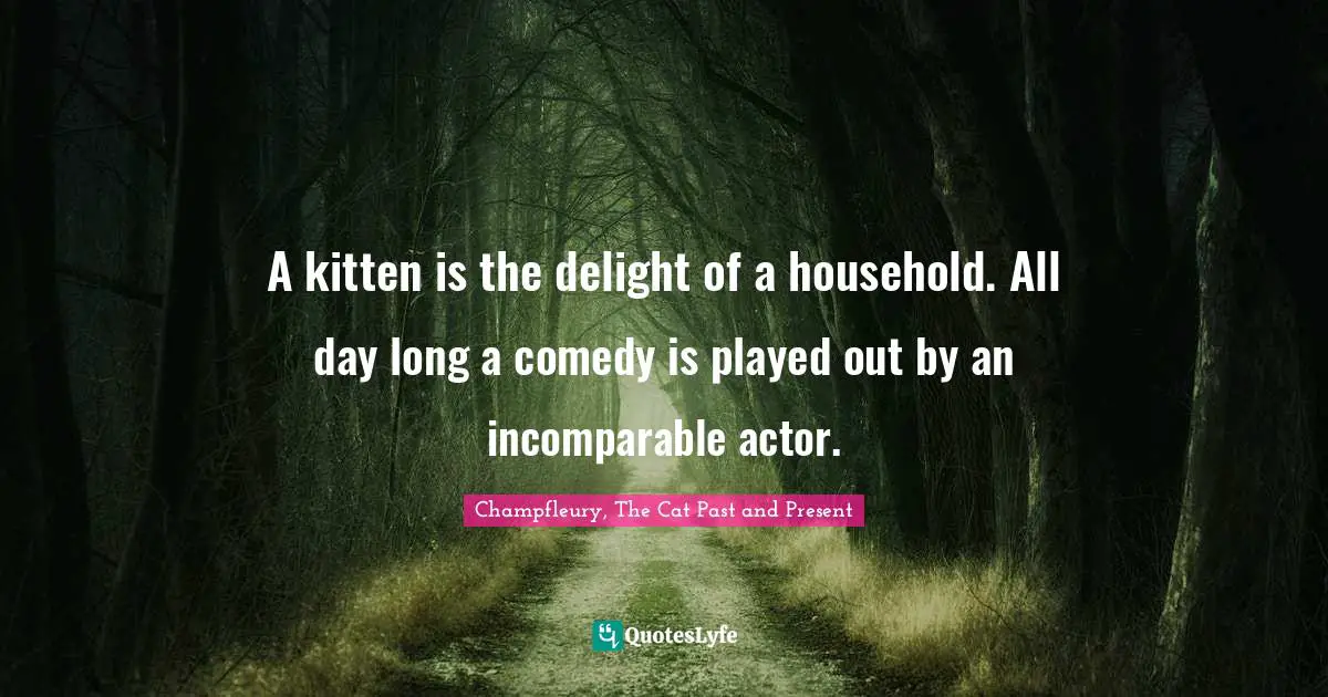 A kitten is the delight of a household. All day long a comedy is played out by an incomparable actor.
