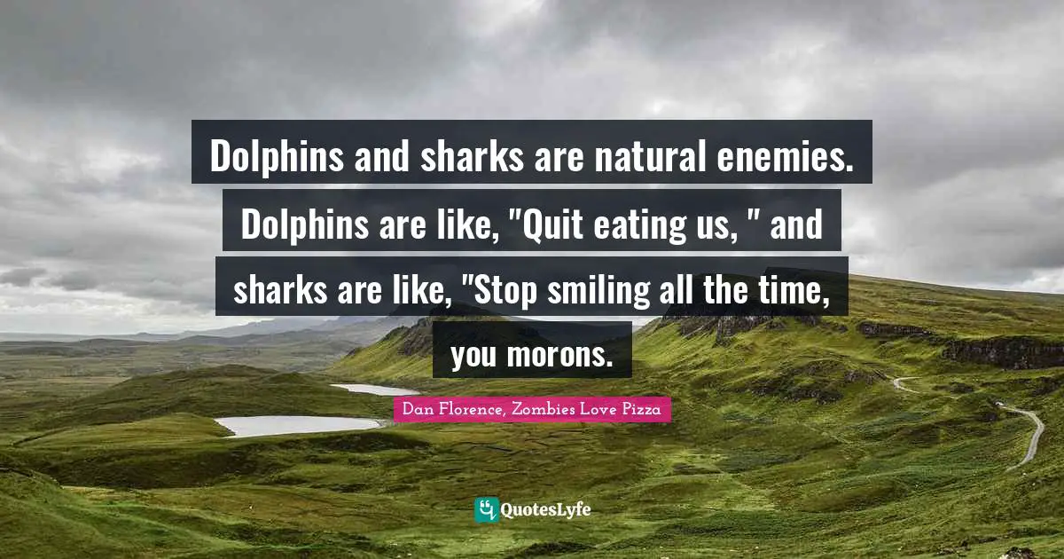 Dolphins and sharks are natural enemies. Dolphins are like, "Quit eating us, " and sharks are like, "Stop smiling all the time, you morons.