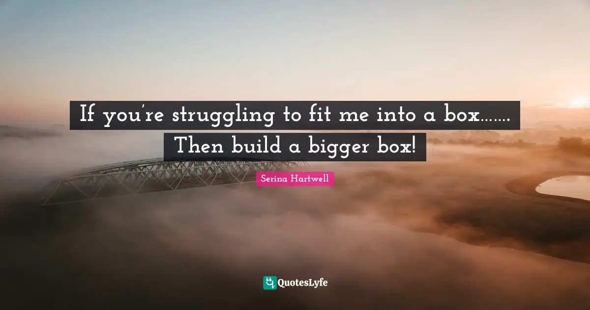 Serina Hartwell Quotes: If you’re struggling to fit me into a box……. Then build a bigger box!