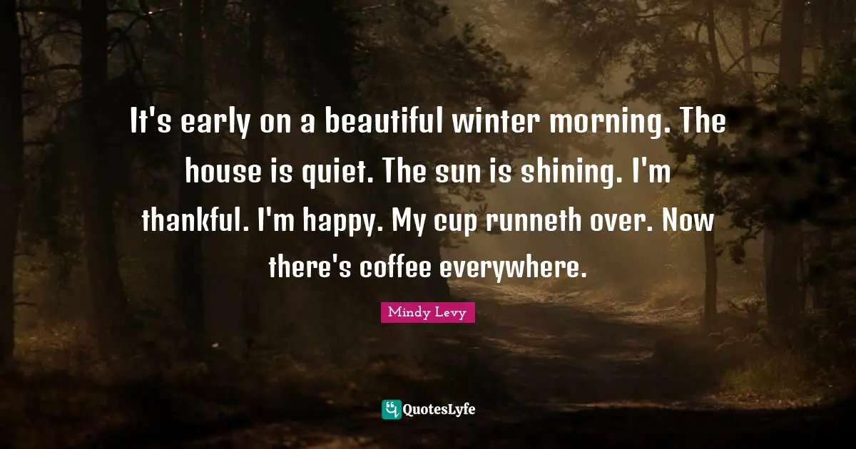 It's early on a beautiful winter morning. The house is quiet. The sun is shining. I'm thankful. I'm happy. My cup runneth over. Now there's coffee everywhere.